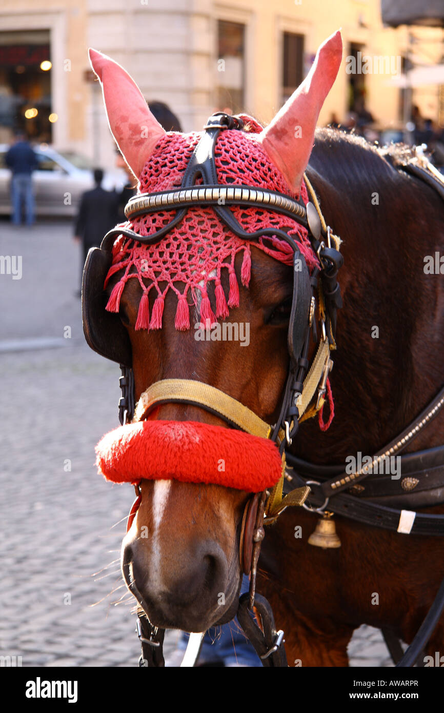 Pferd, gekleidet wie ein Teufel Stockfoto