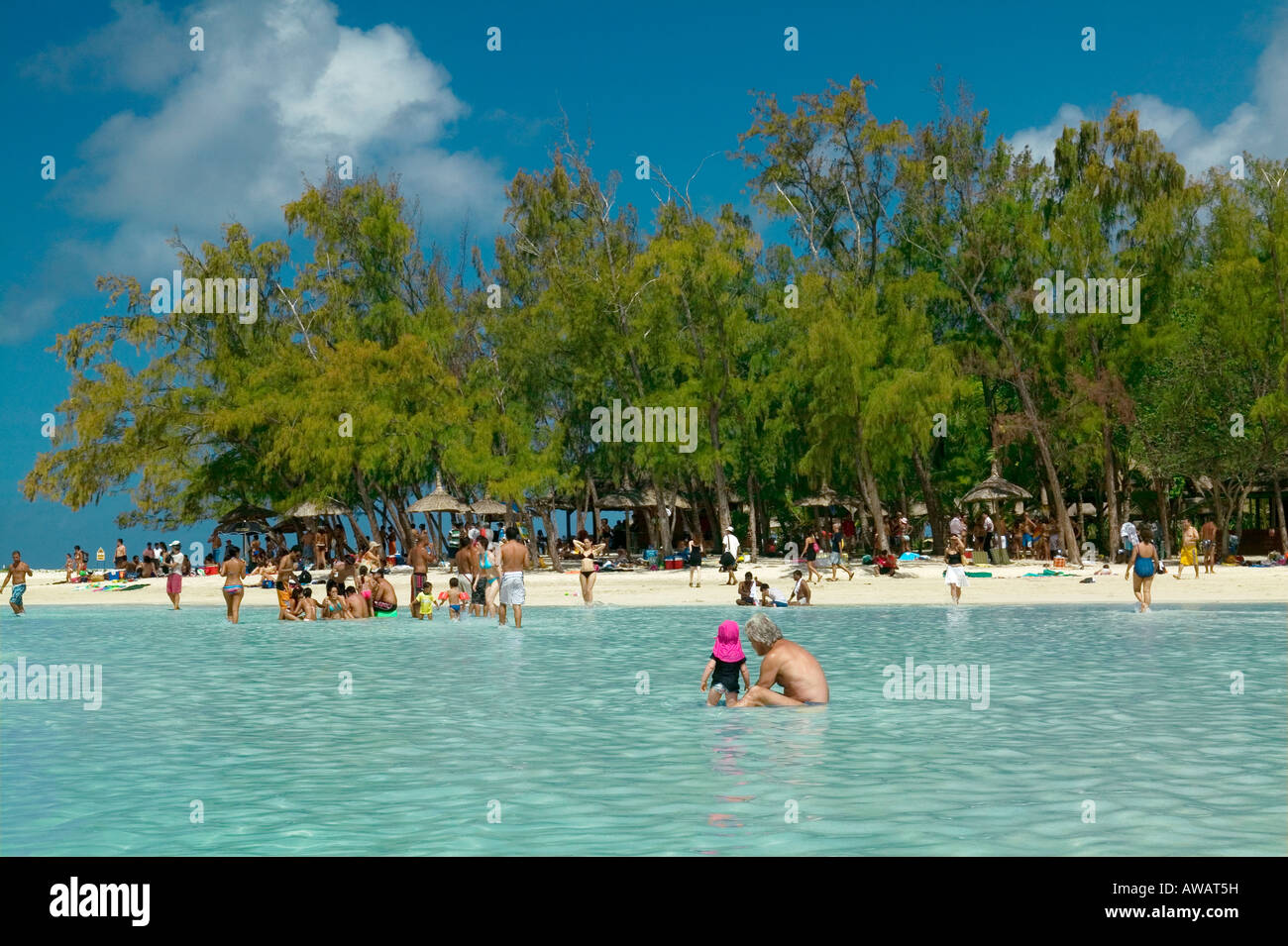 CERFS INSEL - MAURITIUS Stockfoto