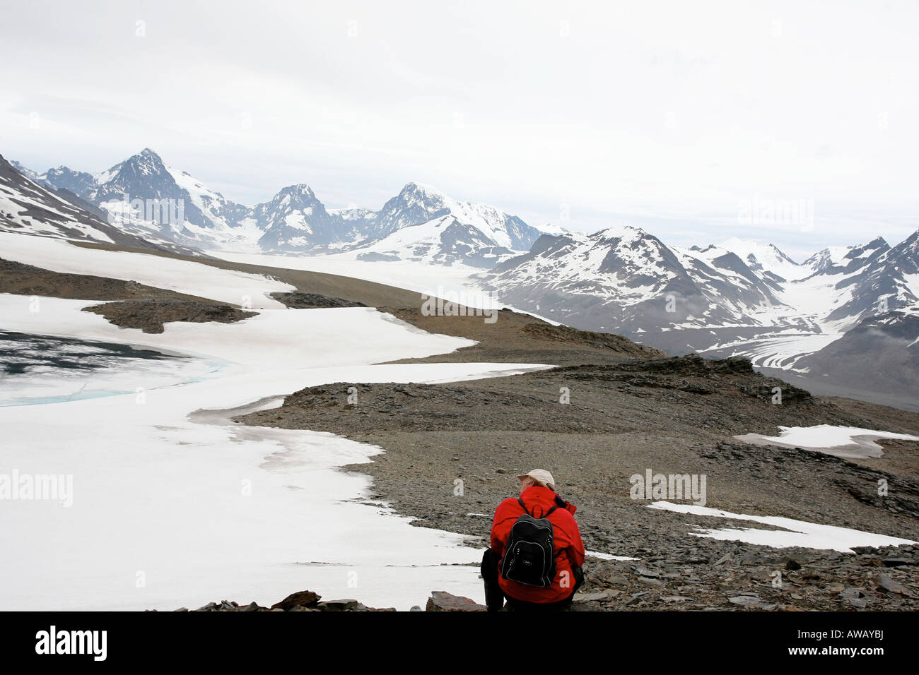 Ein einsamer Wanderer grübelt über das Geheimnis der alten Gletscher auf der Insel Südgeorgien Stockfoto