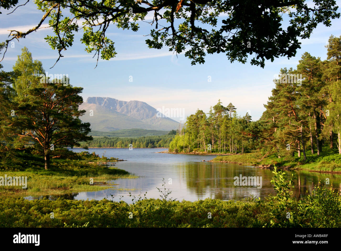 Blick über Loch Lochy nach Ben Nevis. Stockfoto