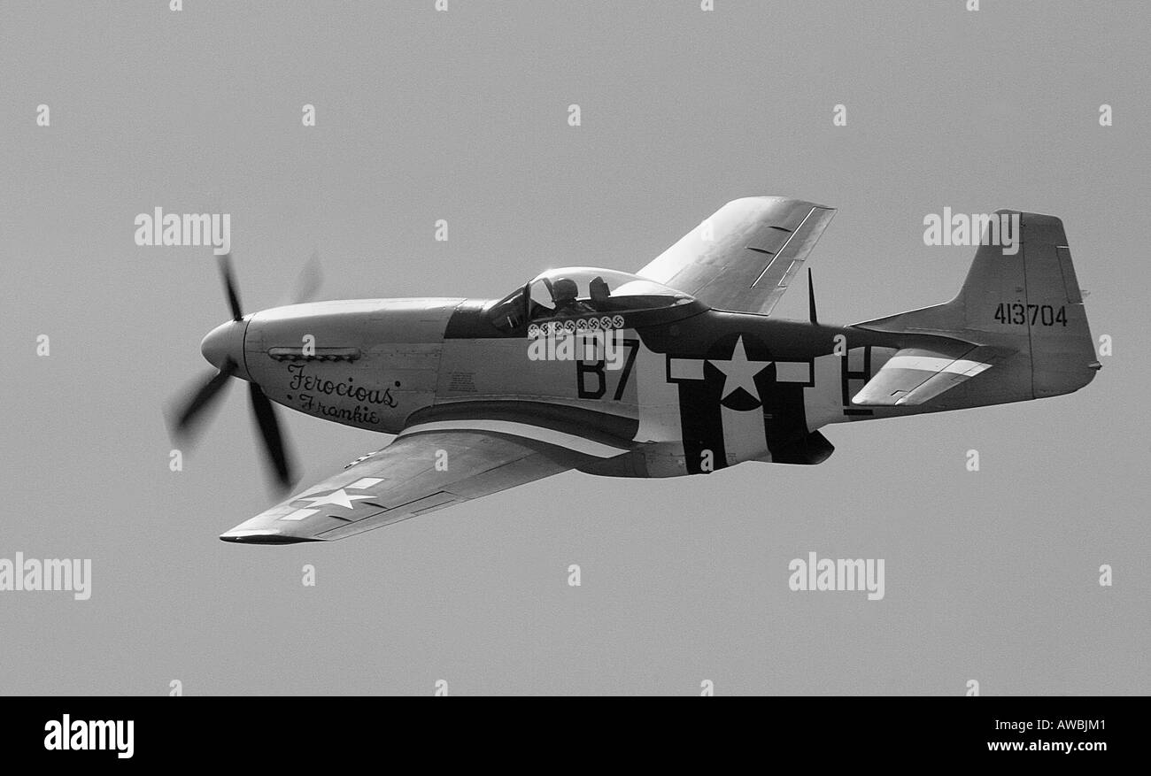 Ein Mustang P51D "Wilden Freddie" im Flug. Stockfoto