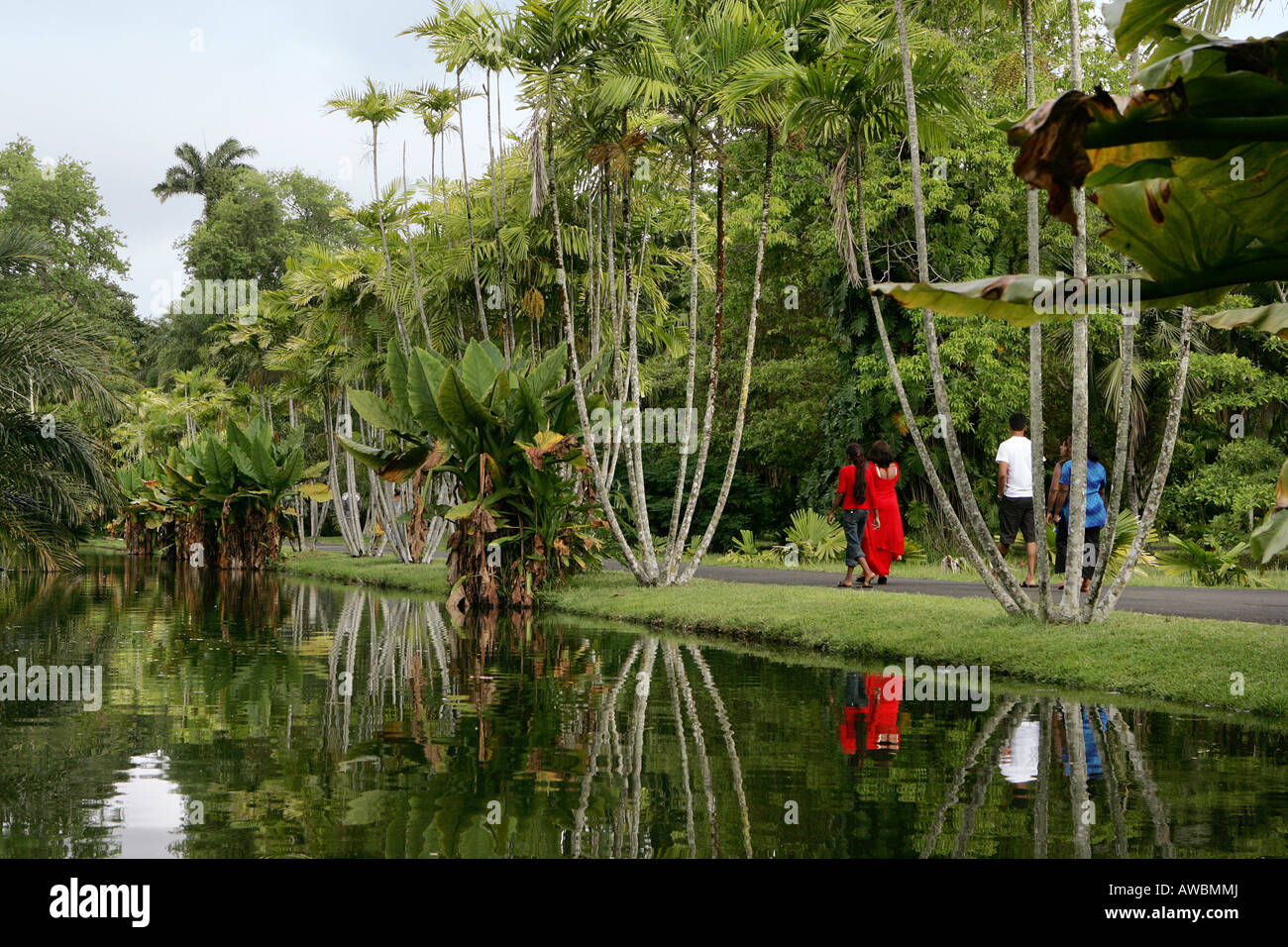 Sir Seewoosagur Ramgoolam Botanical Gardens, Mauritius Stockfoto