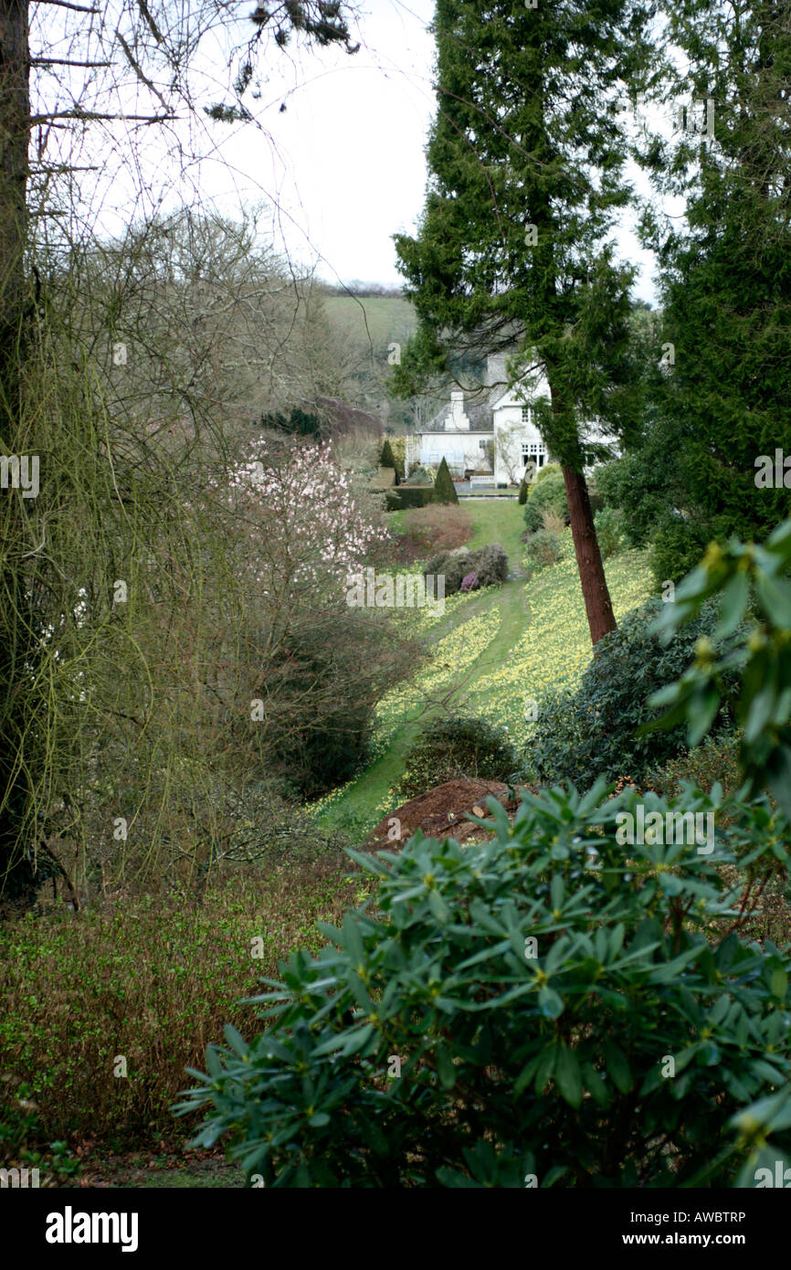 FRÜHLING AM SHERWOOD NEWTON ST CYRES DEVON Stockfoto