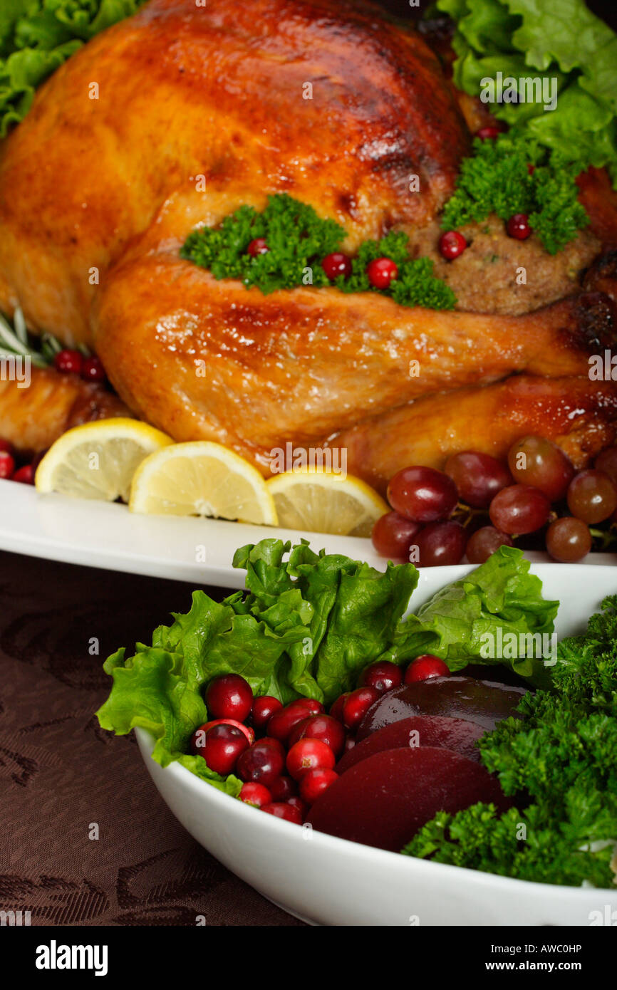 Braten Sie den ganzen truthahn mit Gemüse Obst Cranberries auf weißem Teller Thanksgiving Festtag Esstisch Dinner über der Nähe niemand typisch Hi-res Stockfoto