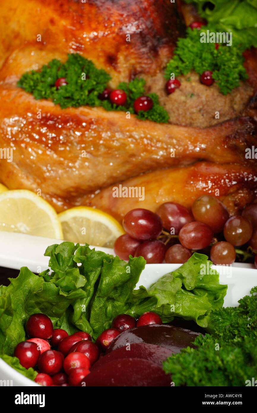 Braten Sie den ganzen truthahn mit Soße Cranberries auf einem weißen Teller Thanksgiving Festtagstisch Abendessen Seitenansicht aus der Nähe niemand vertikal Hi-res Stockfoto