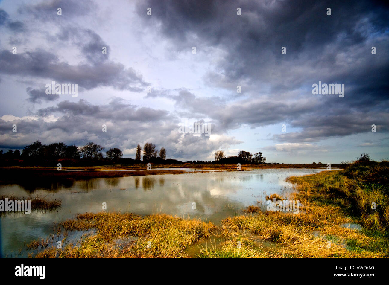 Flut an Simpson's Saltings am Shingle Street in Suffolk. Stockfoto