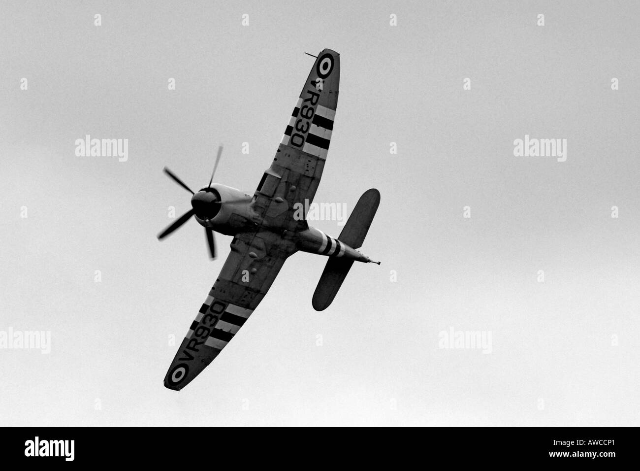 Korea-Krieg-Veteran der Hawker Sea Fury Stockfoto