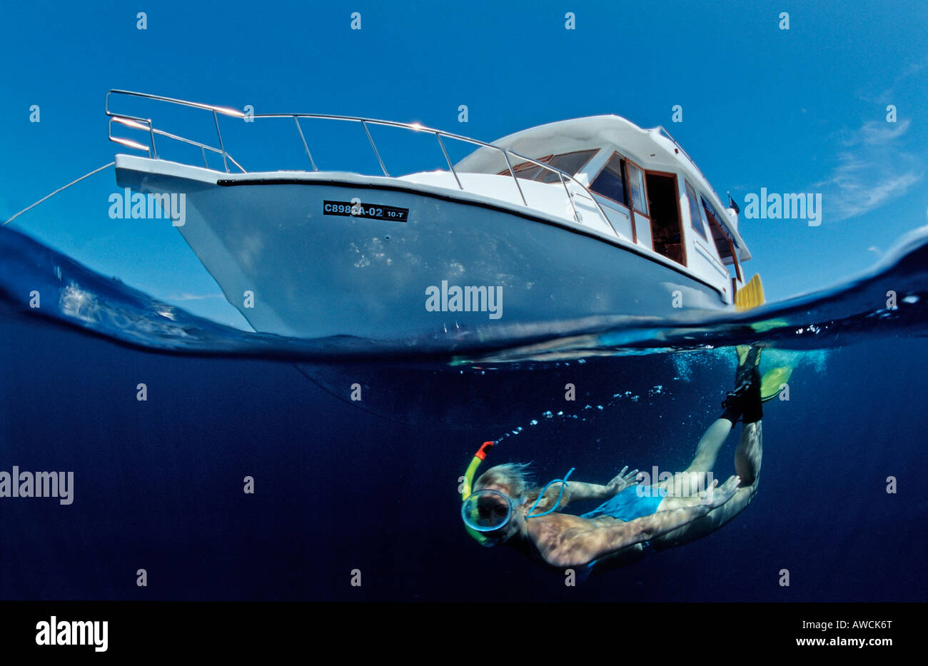 Tauchboot und Schnorchler Malediven Indischer Ozean Meemu Atoll Stockfoto