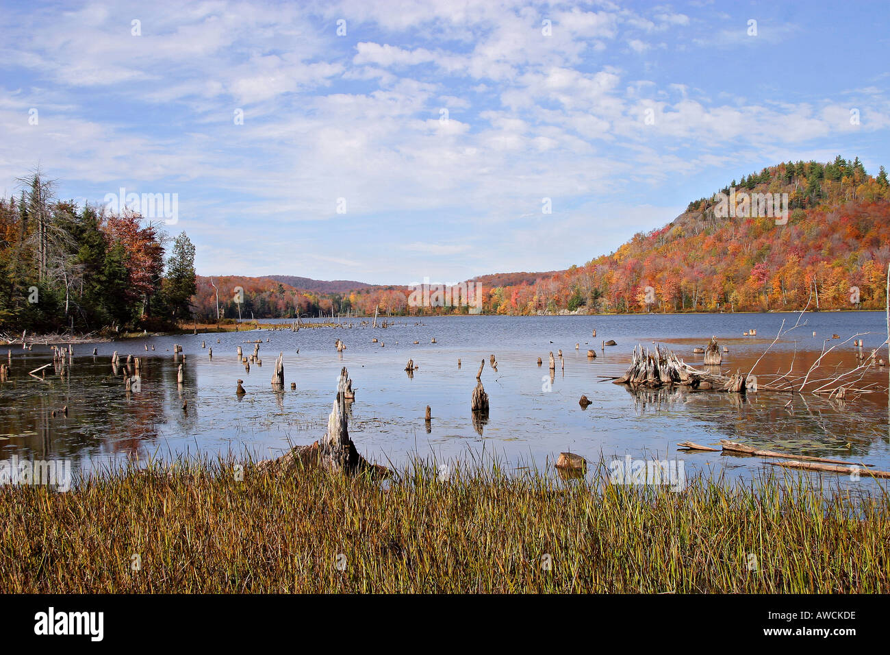 Landschaft-Herbst in Quebec Kanada Stockfoto