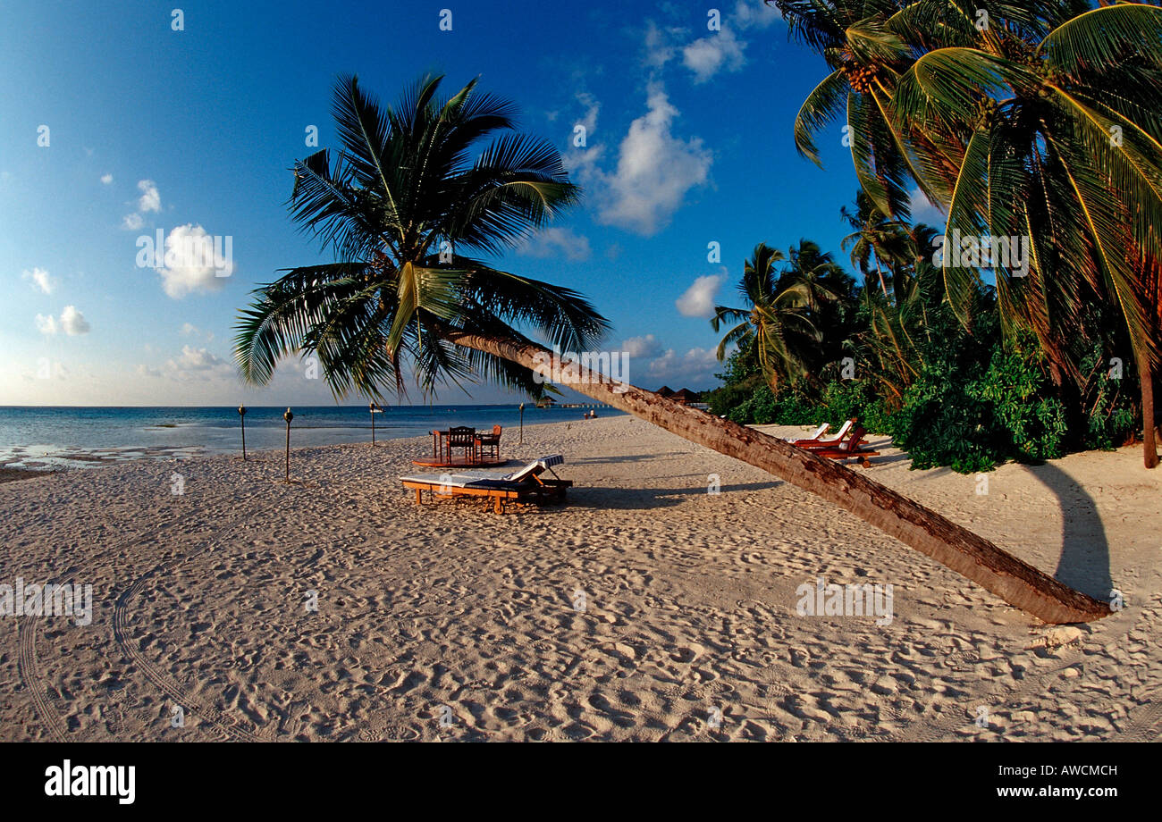 Maledivian Strand Malediven Indischer Ozean Medhufushi Meemu Atoll Stockfoto