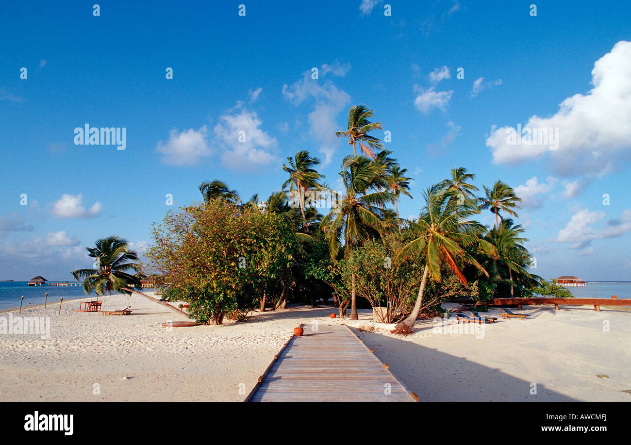 Maledivian Insel Malediven Indischer Ozean Medhufushi Meemu Atoll Stockfoto