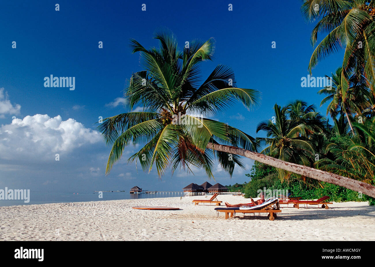 Strand auf Maledivian Insel Malediven Indischer Ozean Medhufushi Meemu Atoll Stockfoto