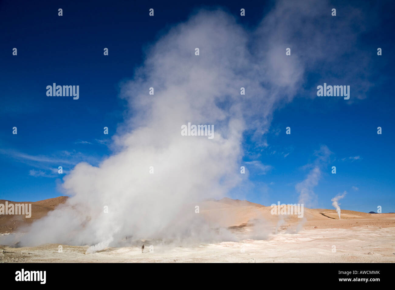 Geysirfeld Sol de Manana, Altiplano, Bolivien, Südamerika Stockfoto