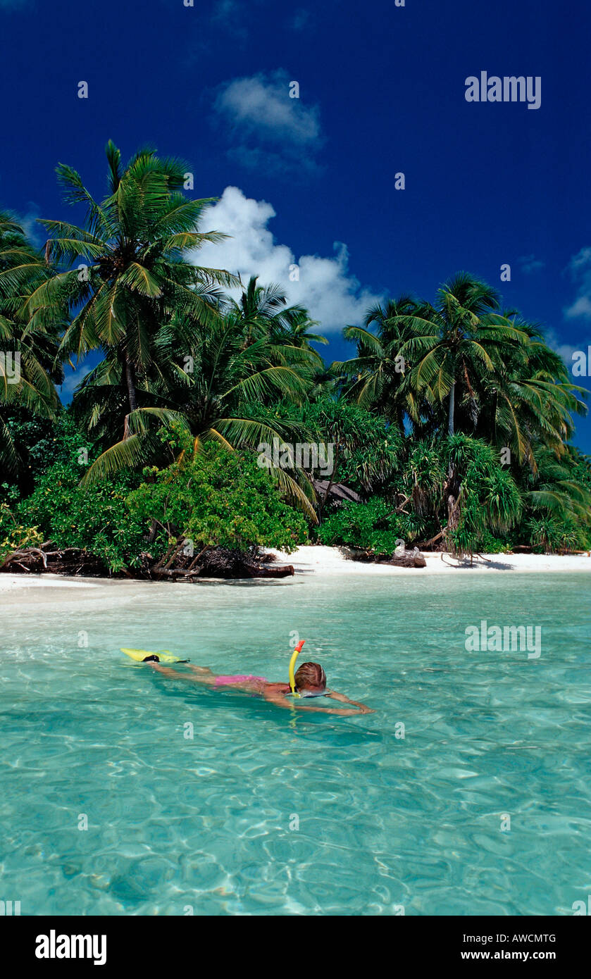 Schnorcheln in der Nähe von Palmy Insel Malediven Indischer Ozean Medhufushi Meemu Atoll Stockfoto