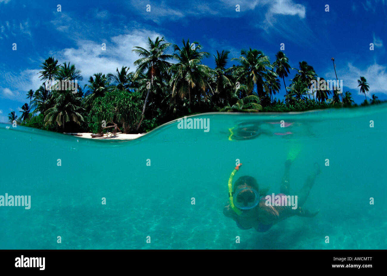 Schnorcheln in der Nähe von Palmy Insel Malediven Indischer Ozean Medhufushi Meemu Atoll Stockfoto