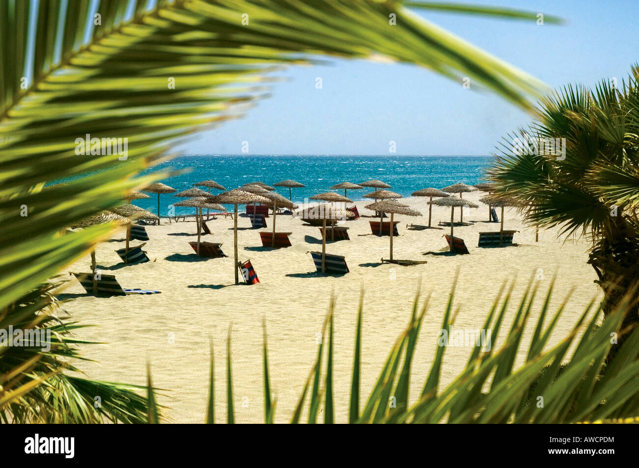 Palmen gesäumten Strand von Mojacar Playa & Pueblo, Costa Almeria, Spanien Stockfoto