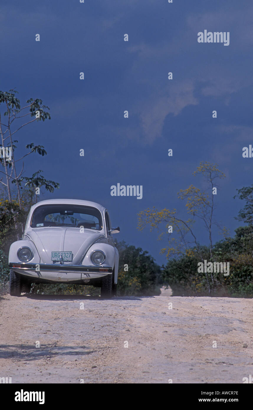 VW Beetle Bug ZYX auf Landstraße Quintana Roo Halbinsel Yucatan Mexiko Stockfoto