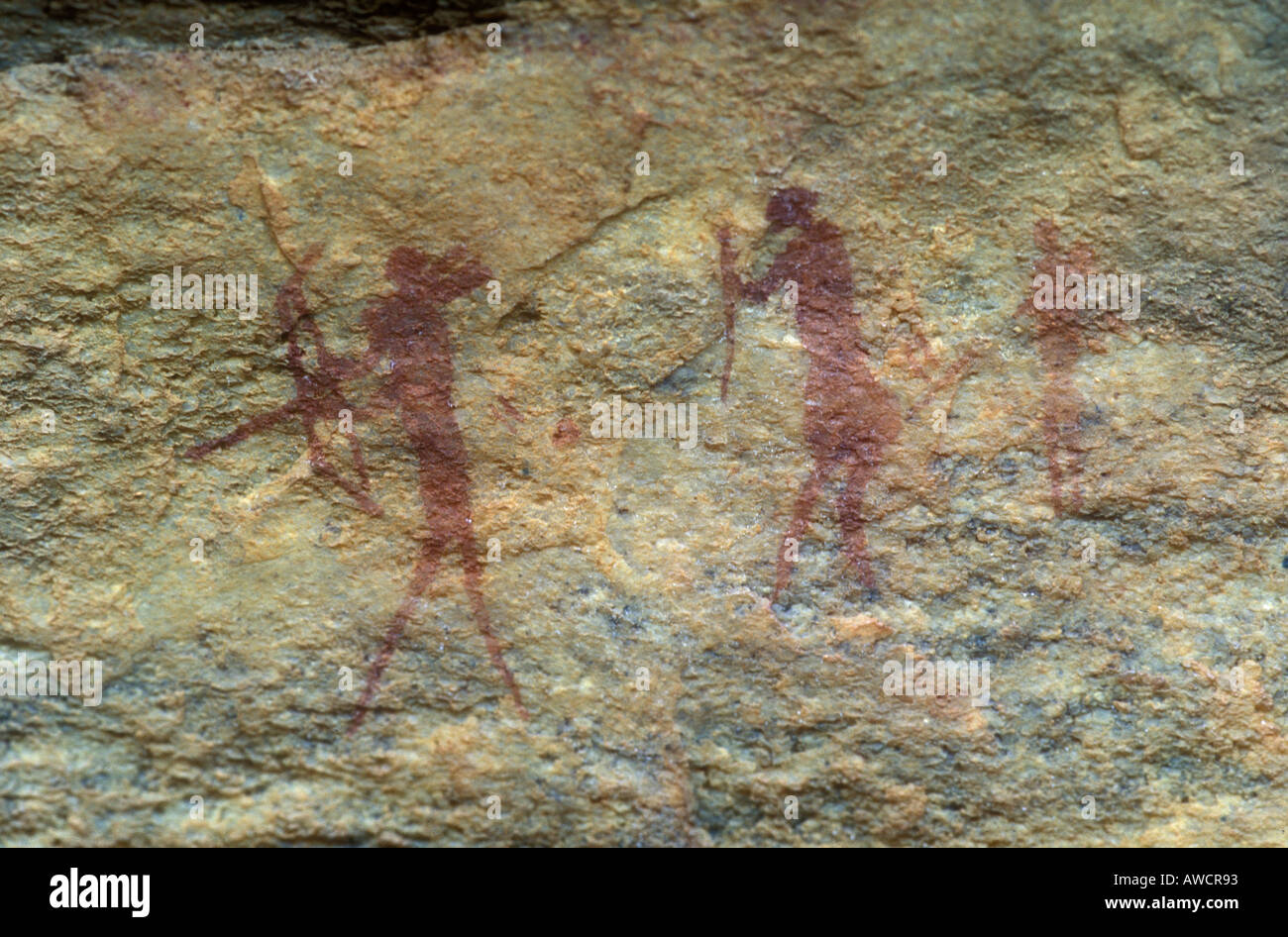 Bushman oder San Höhlenmalereien Bushmanskloof Western Cape Südafrika Stockfoto