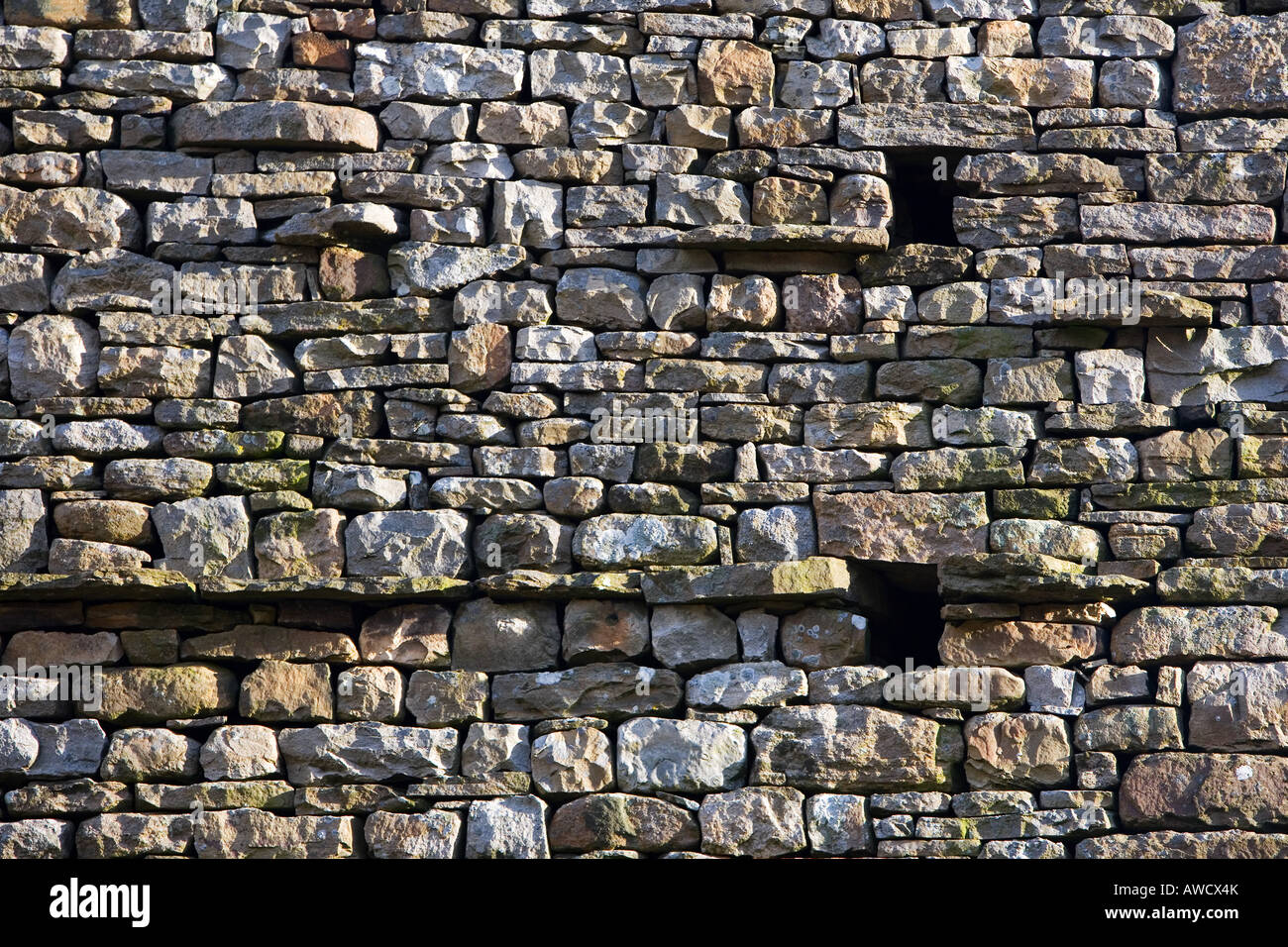 Bauernhof Gebäudewand. Trockene Scheune Wand Cumbria, England Stockfoto