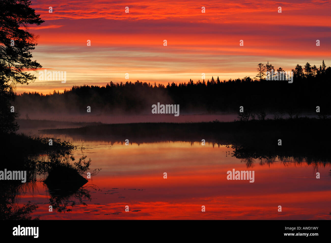 Spektakulären Sonnenaufgang an einen schwedischen wuchs Moos See, Dalarna, Skandinavien, Schweden, Europa Stockfoto