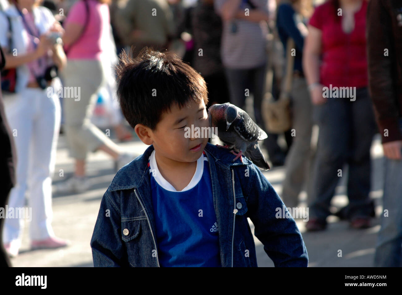 Kleiner Junge am Piazza San Marco (Markusplatz), Venedig, Veneto, Italien, Europa Stockfoto