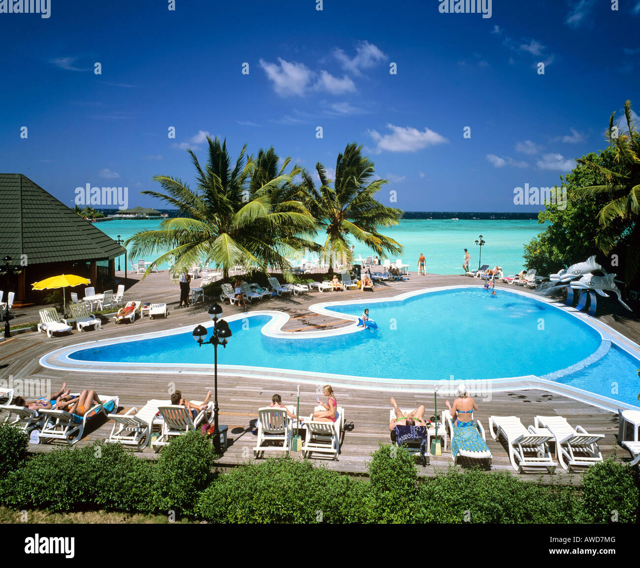 Schwimmbad auf Paradise Island, Lakanfinolhu, Nord Male Atoll, Malediven, Indischer Ozean Stockfoto