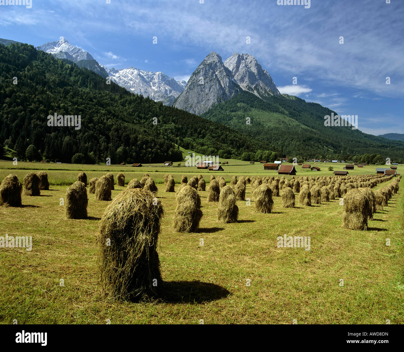 Hay Bails während Heu Ernte, Wettersteingebirge, Garmisch-Partenkirchen, Upper Bavaria, Bavaria, Germany, Europe Stockfoto