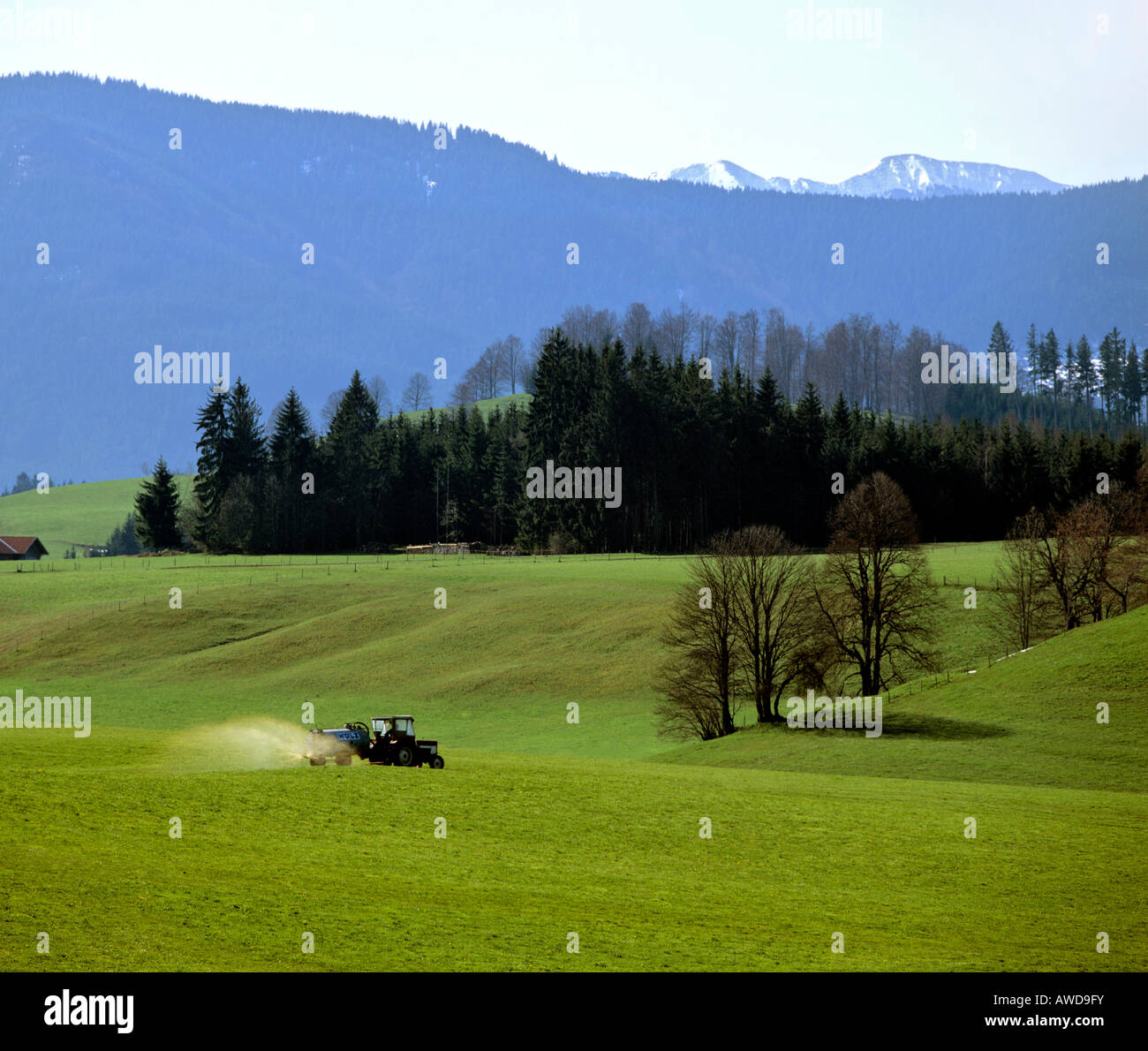 Landwirtschaft, Gülle, Traktor, Düngung der Wiesen, Allgäu, Bayern, Deutschland Stockfoto