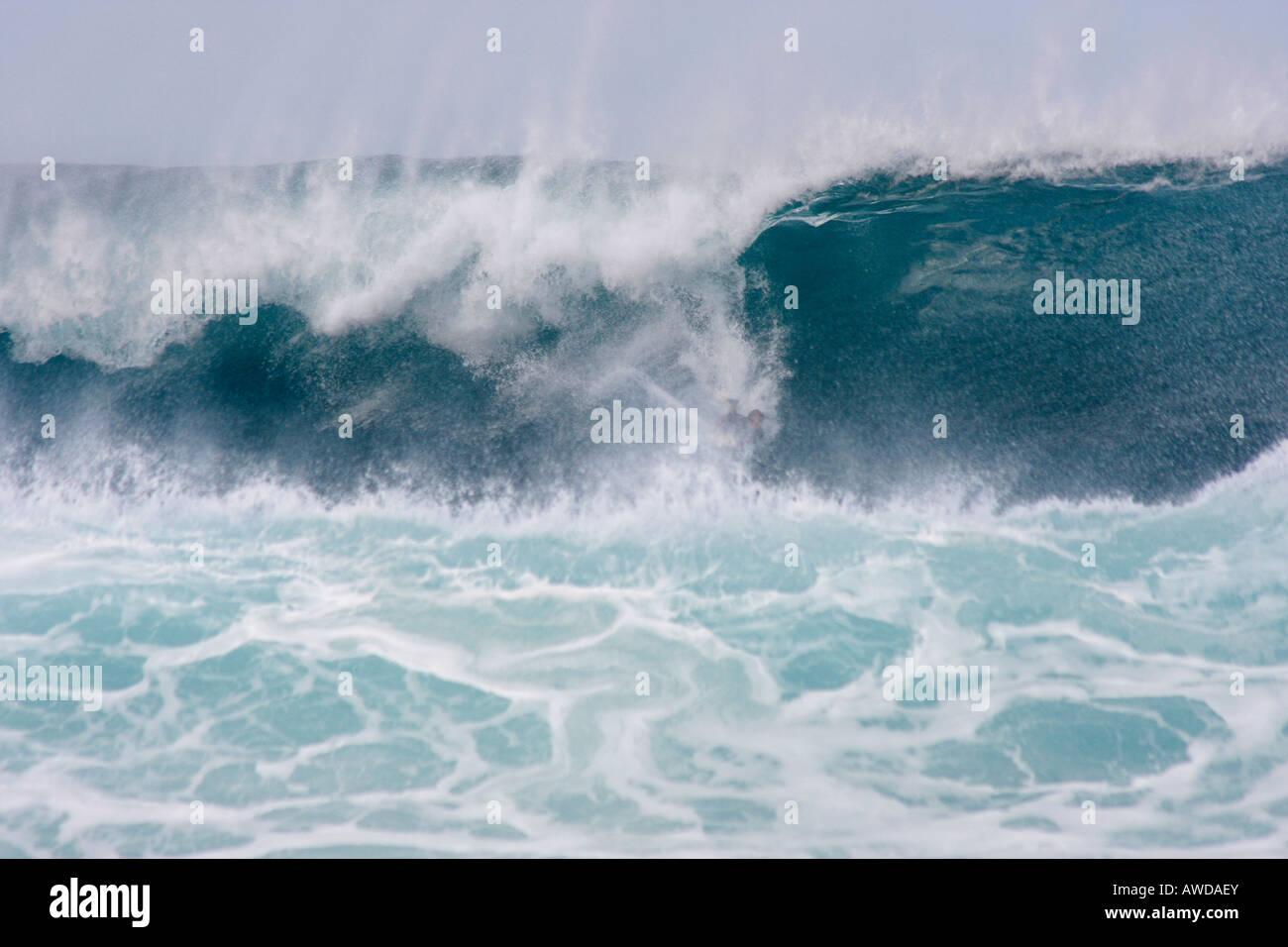 Surfer wischt"" in riesigen Wellen in der "Pipeline", Waimea Beach, North Coast, Oahu, Hawaii Stockfoto