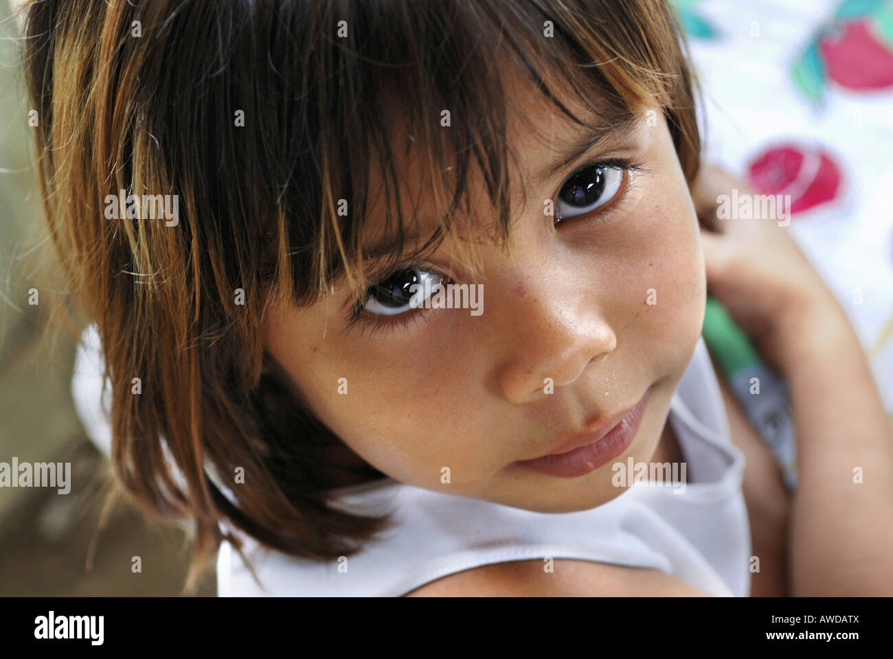 Niedliche Mädchen nachschlagen, Amazonien, Brasilien Stockfoto