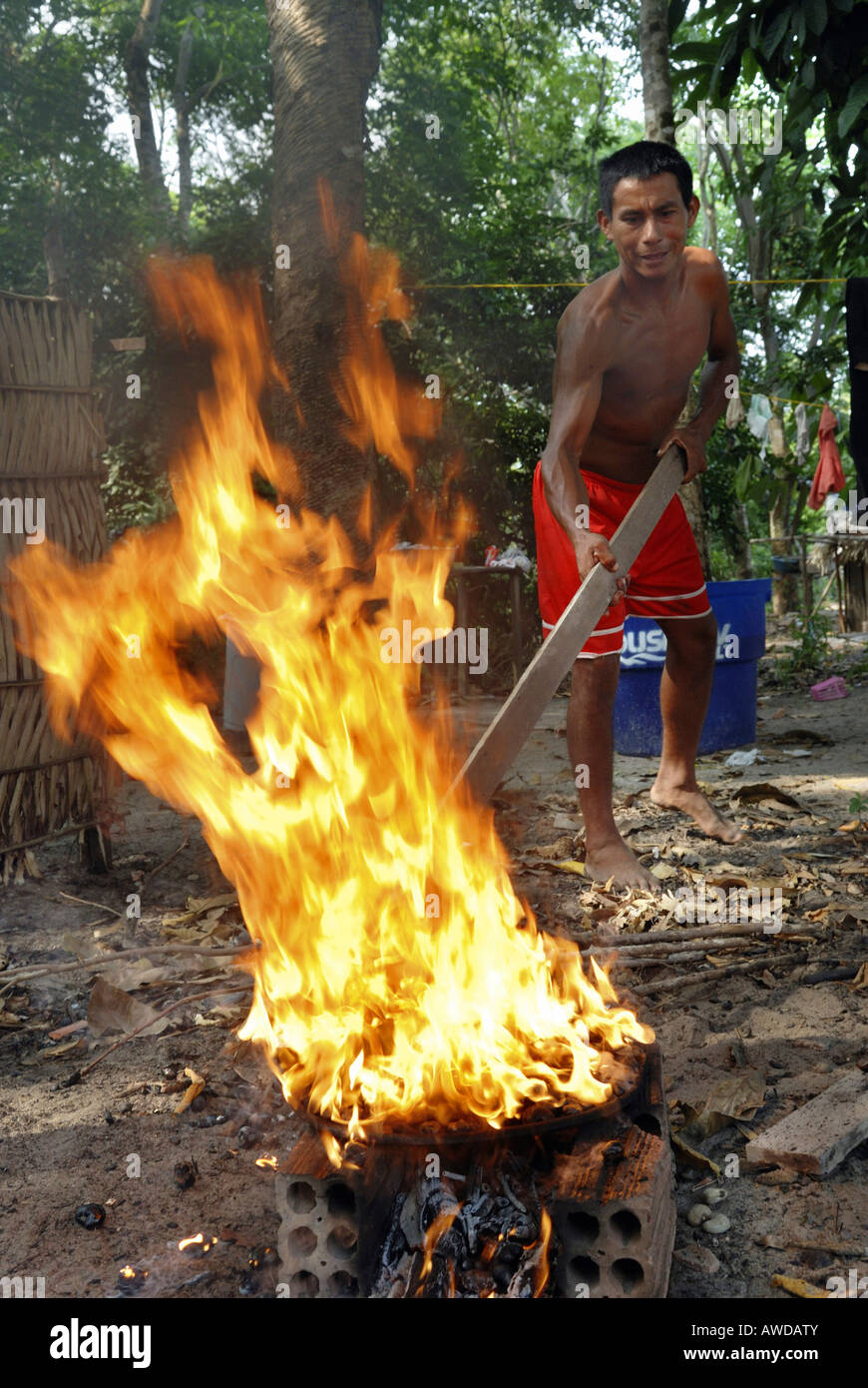 Mann Toasten von Cashew-Nüssen auf offenem Feuer, Amazonien, Brasilien Stockfoto