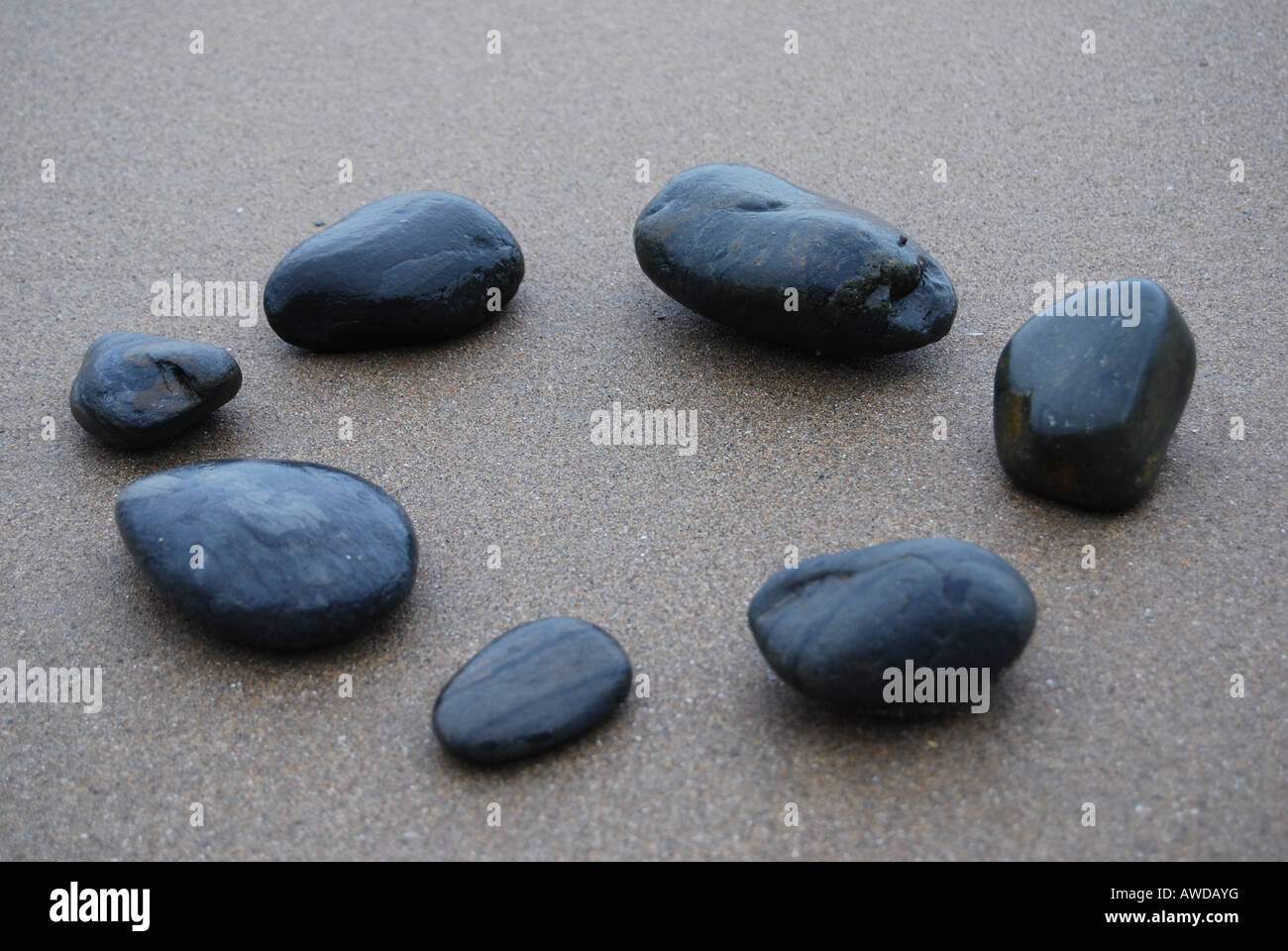 Steinen, die in einem Kreis auf einem Strand platziert Stockfoto
