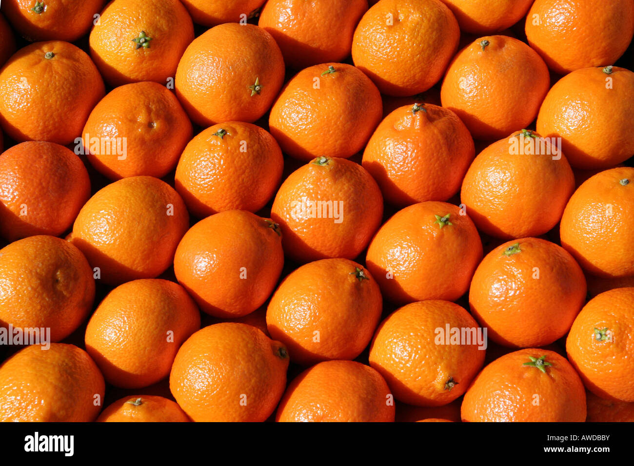 Muster von Orangen, die gleichmäßig verteilt in einer box Stockfoto
