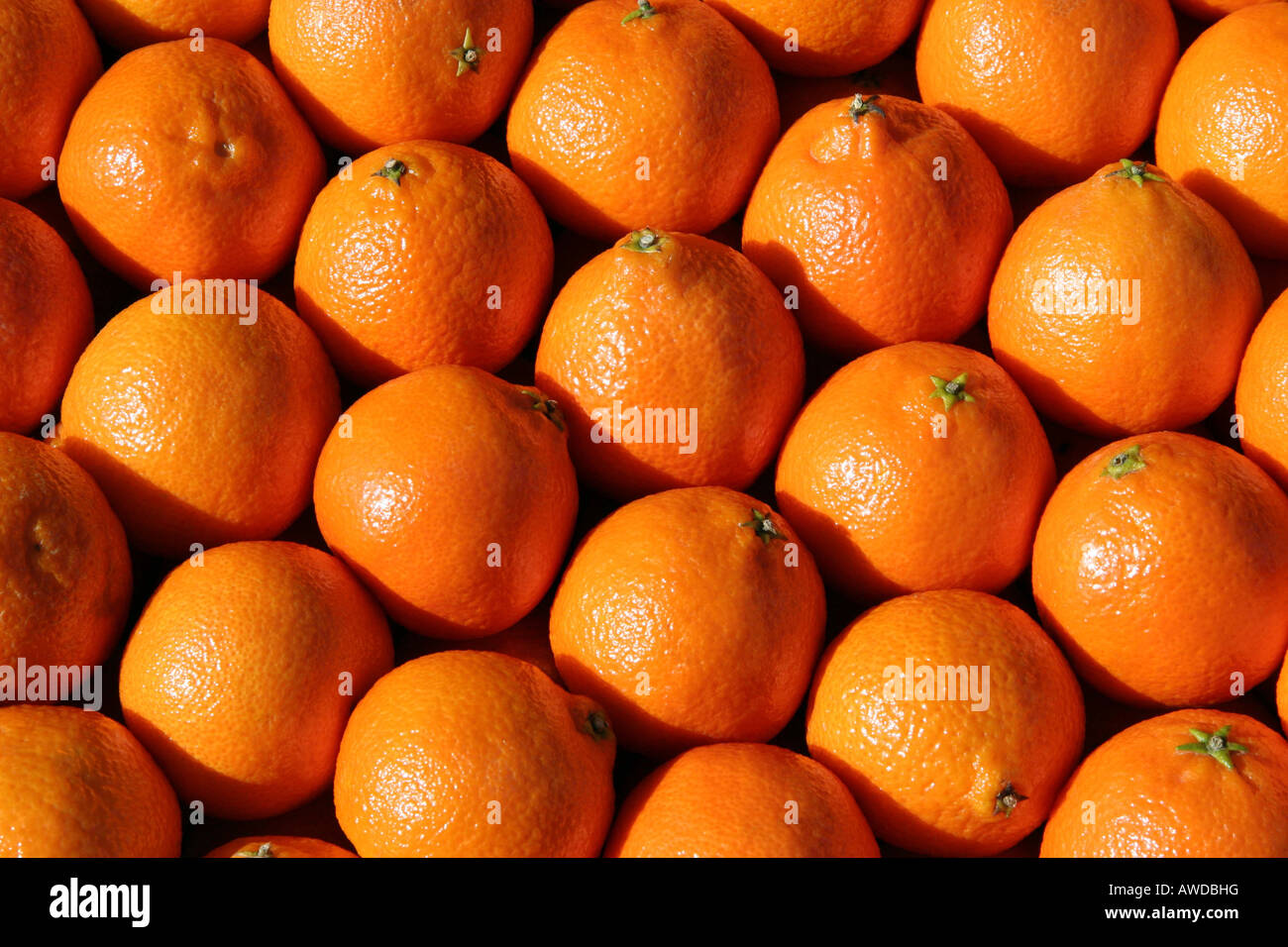 Schachtel mit Orangen Stockfoto