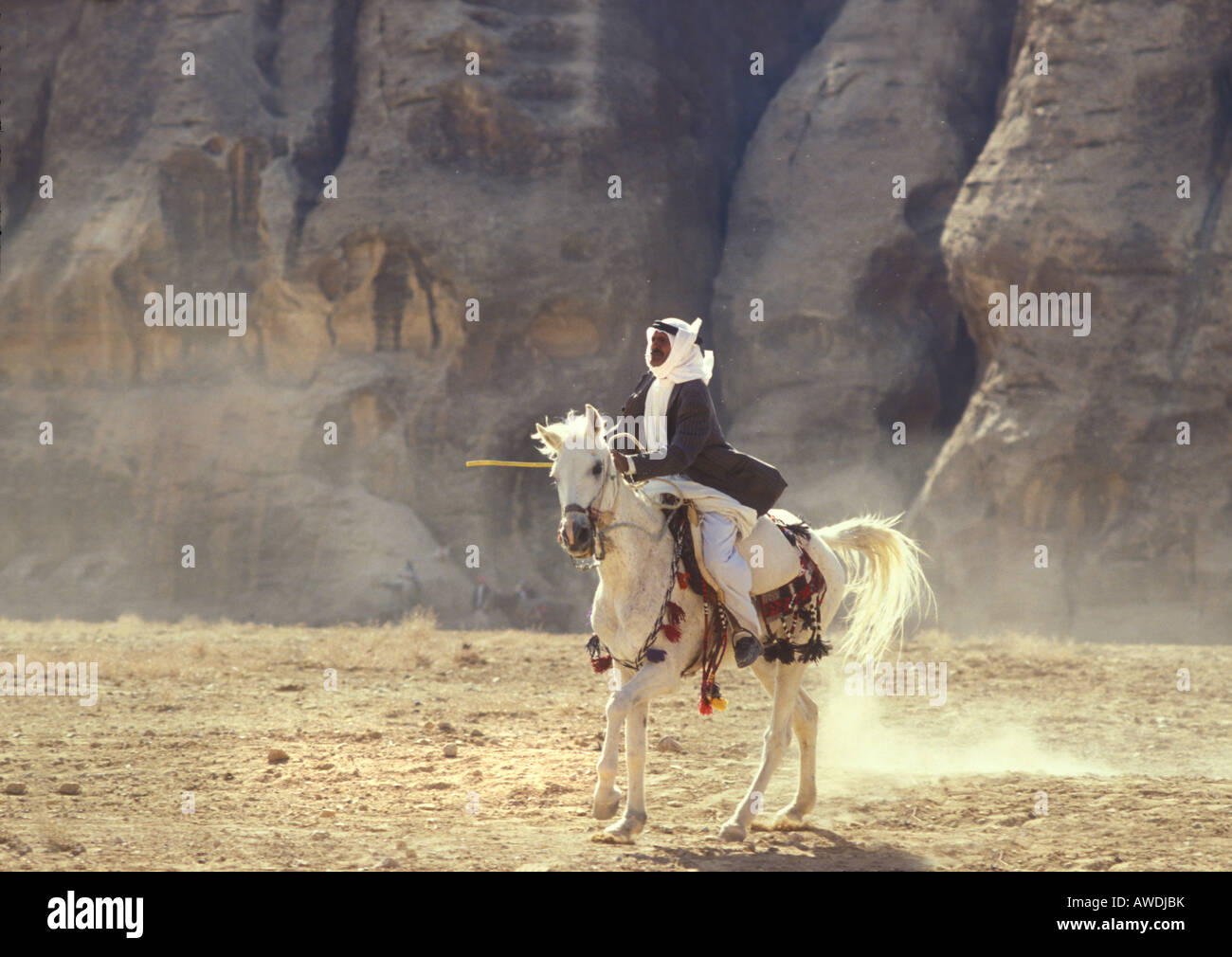 Staub aufwirbeln - ein berittene Araber auf einem weißen Pferd wartet auf einen Pferderennen in der Wüste, in der Nähe von Petra, Jordanien Stockfoto