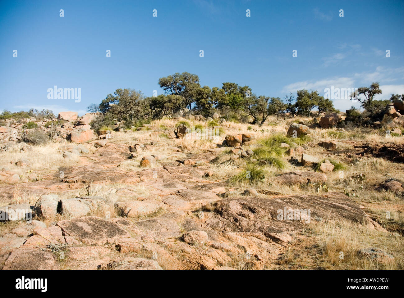 Enchanted Rock State Natural Area, Fredericksburg, Texas Stockfoto