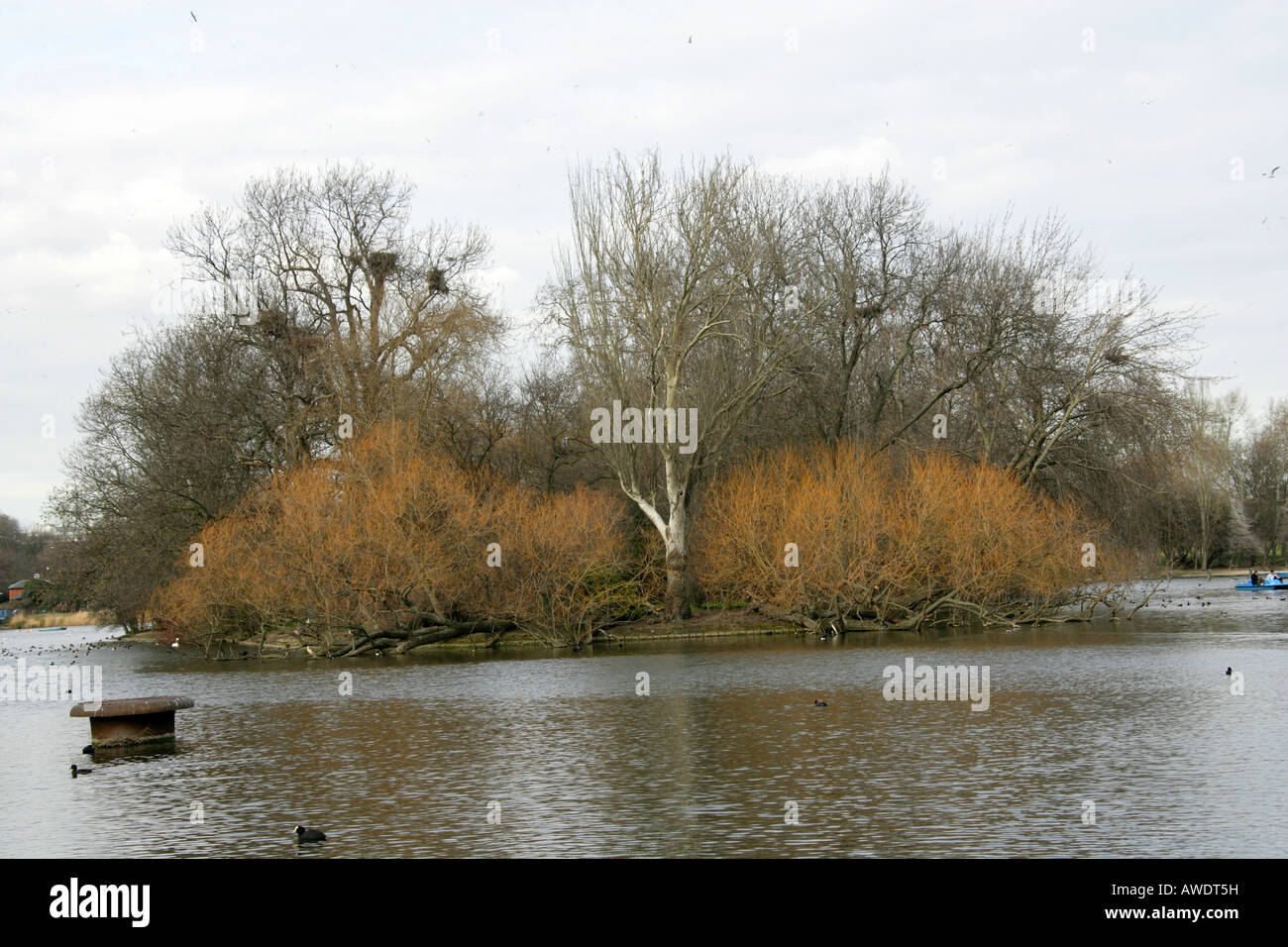 Die Insel auf das Bootfahren See Regents Park London Stockfoto