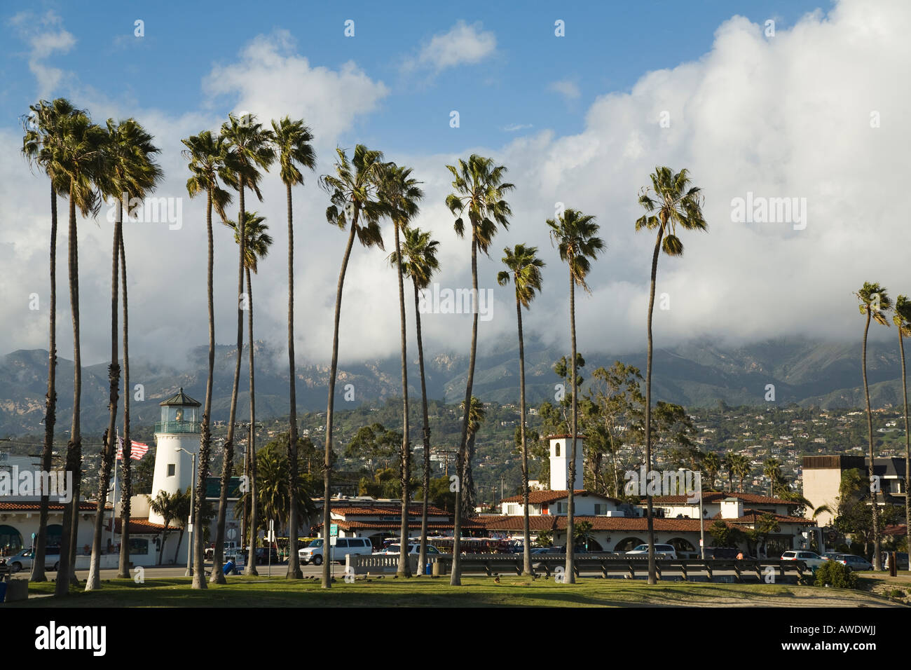 CALIFORNIA Santa Barbara Unternehmen und Palmen Bäume entlang des Cabrillo Boulevard in der Nähe von Waterfront Leuchtturm Gebäude Stockfoto