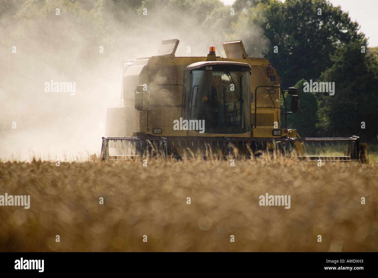 Mähdrescher im Weizenfeld Wiltshire England UK Stockfoto