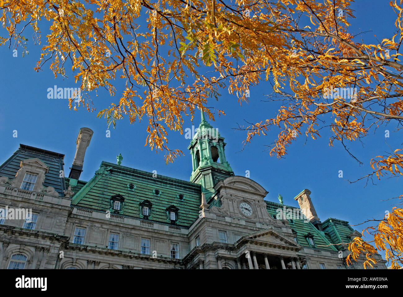 Rathaus in Old Montreal Provinz von Quebec Kanada Stockfoto