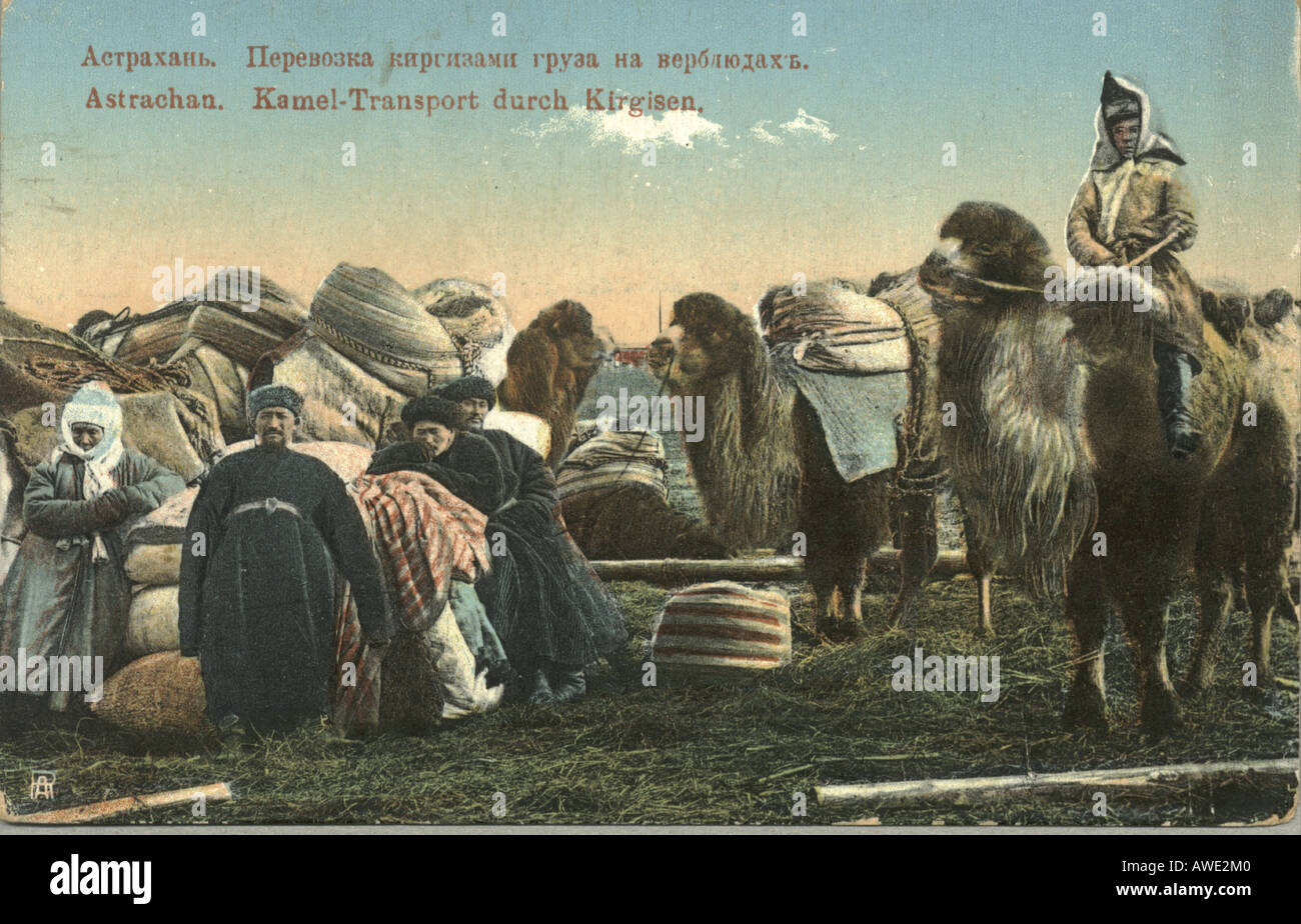 Russische Postkarte Kamel Transportmittel in Astrachan circa 1905 Stockfoto