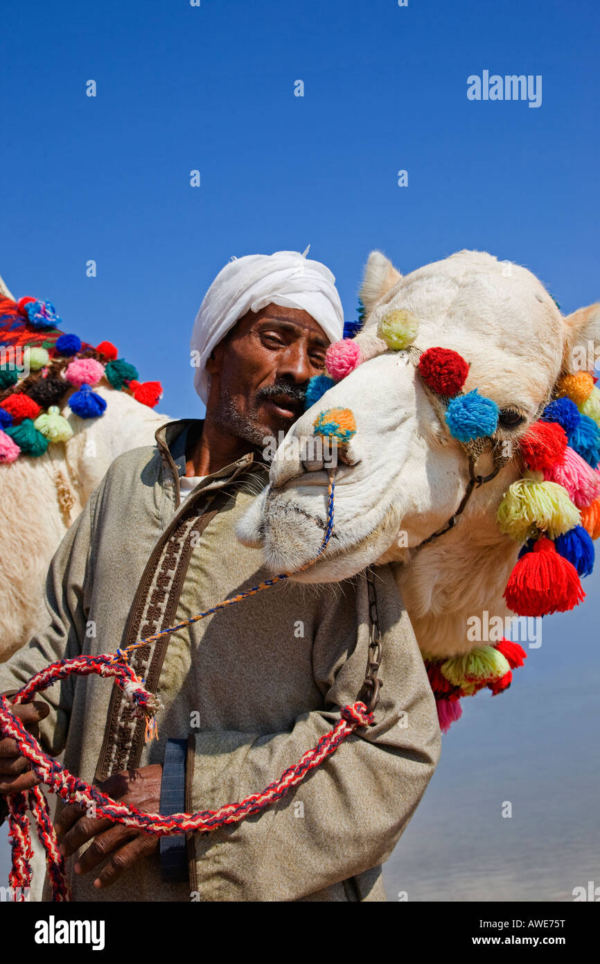 Ägyptischen Mann mit Kamel, in der Nähe von Sharm el Sheikh, Ägypten Stockfoto