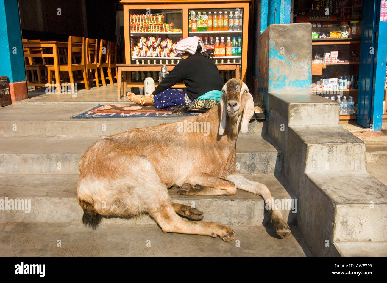 Ziege Frau verkaufen Verkäufermarkt Straßenszene Blick auf die Stadt in der Nähe von BANDIPUR NEPAL Asien Straße Straße einfach Stadtleben zu verkaufen Stockfoto