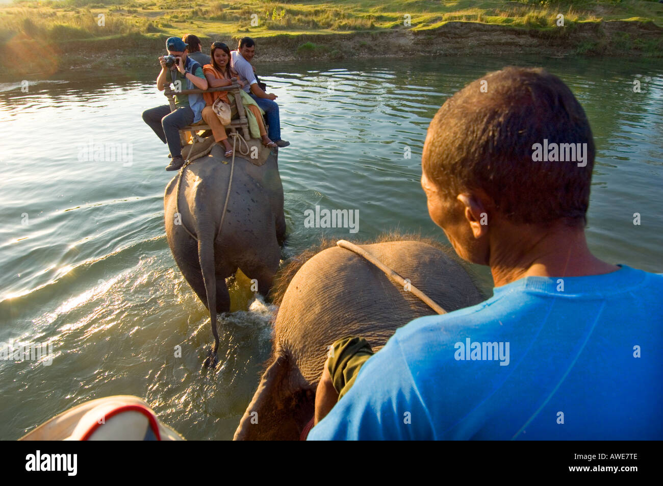 auf der Rückseite ein Elefant MAHOUT SAFARI zurück Touristen auf Elefanten Reiten im Nationalpark Royal Chitwan Nationalpark NEPAL Asien Stockfoto