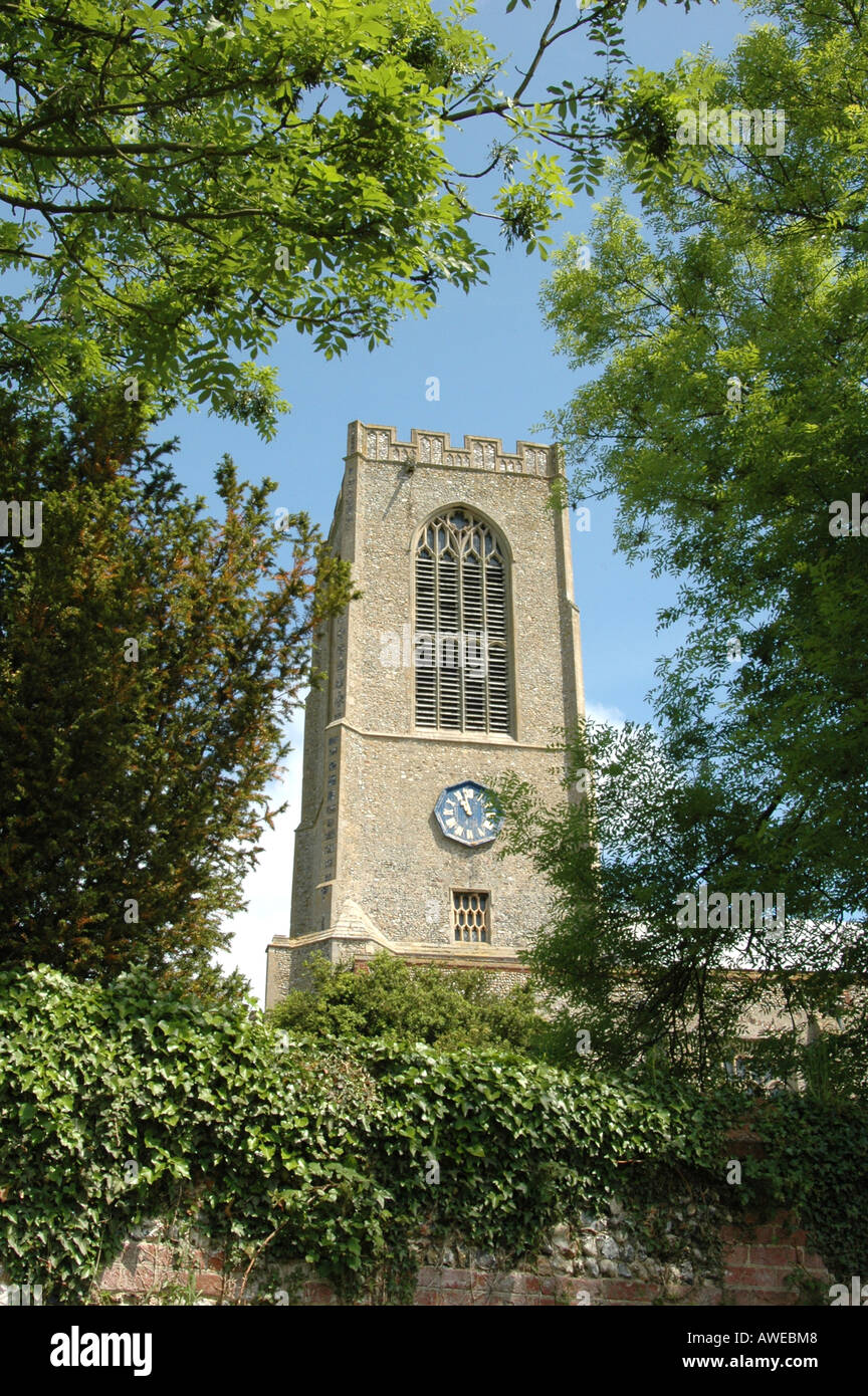 Allerheiligen Kirche Swanton Morley Norfolk UK Stockfoto