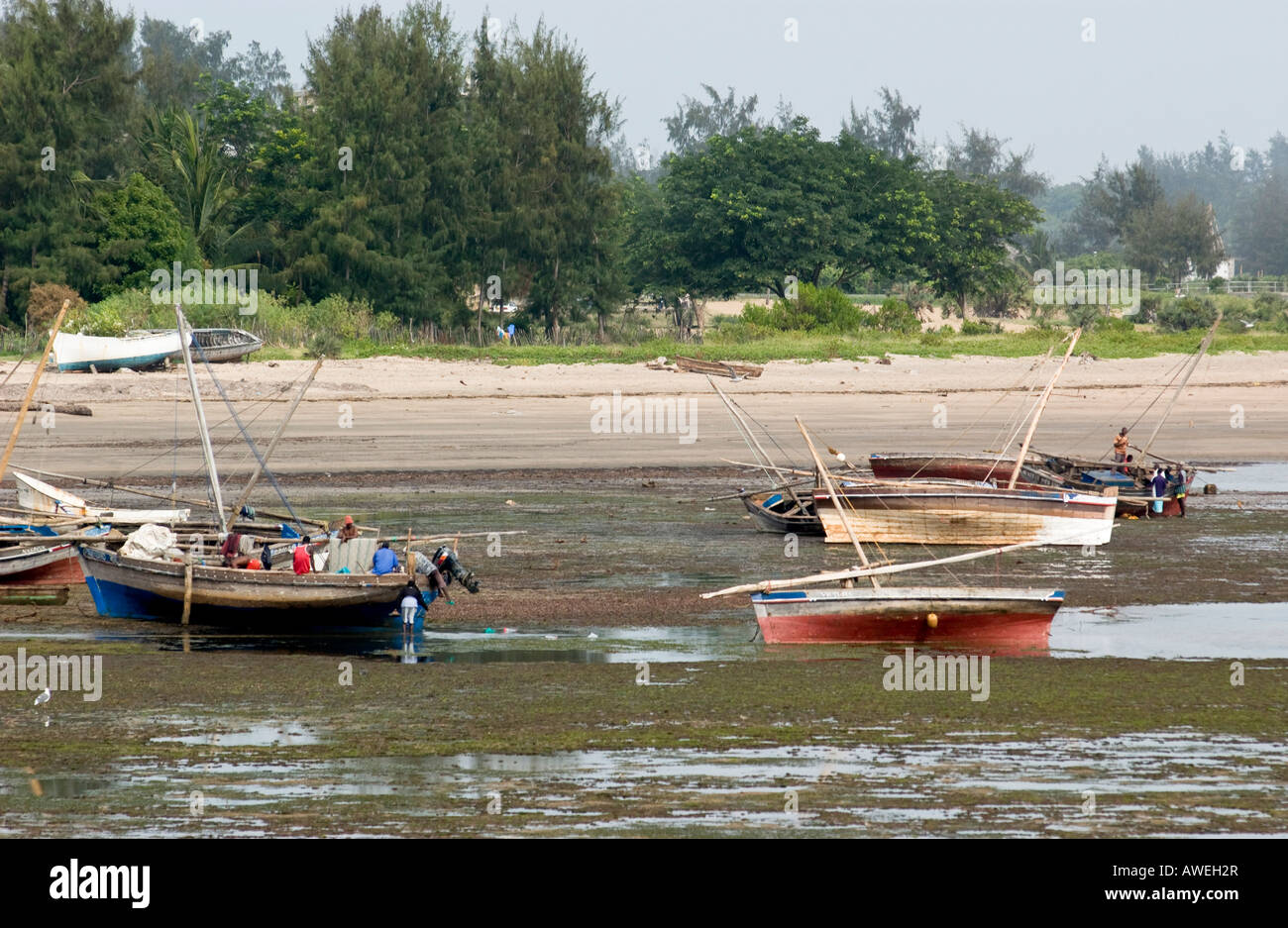 Malindi Hafen bei Ebbe Stockfoto