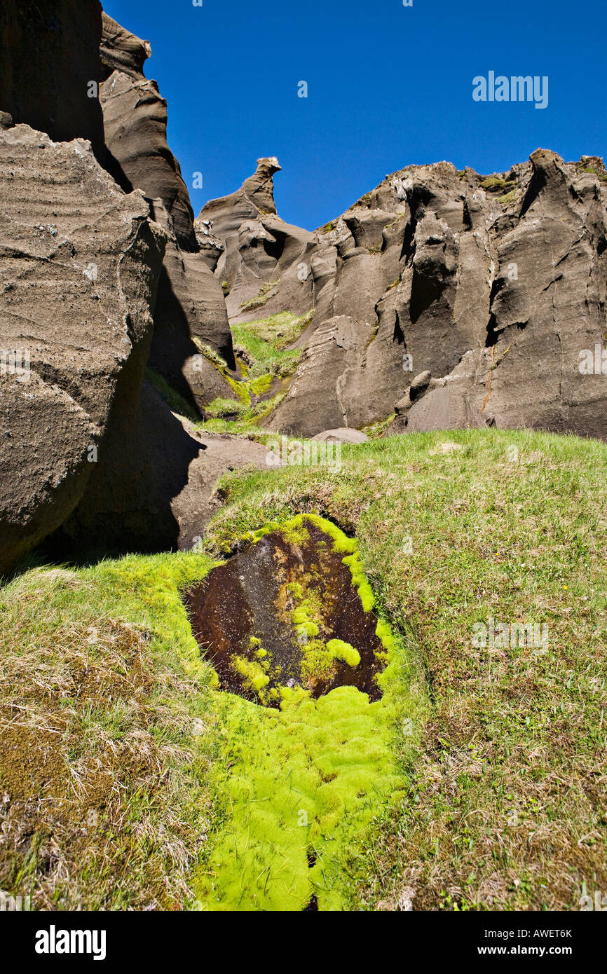 Willow Moss (Fontinalis Antipyretica) und bizarren Felsformationen, Rhyolith-Tuff, Selvellir, Snaefellsness Halbinsel, Island, Stockfoto