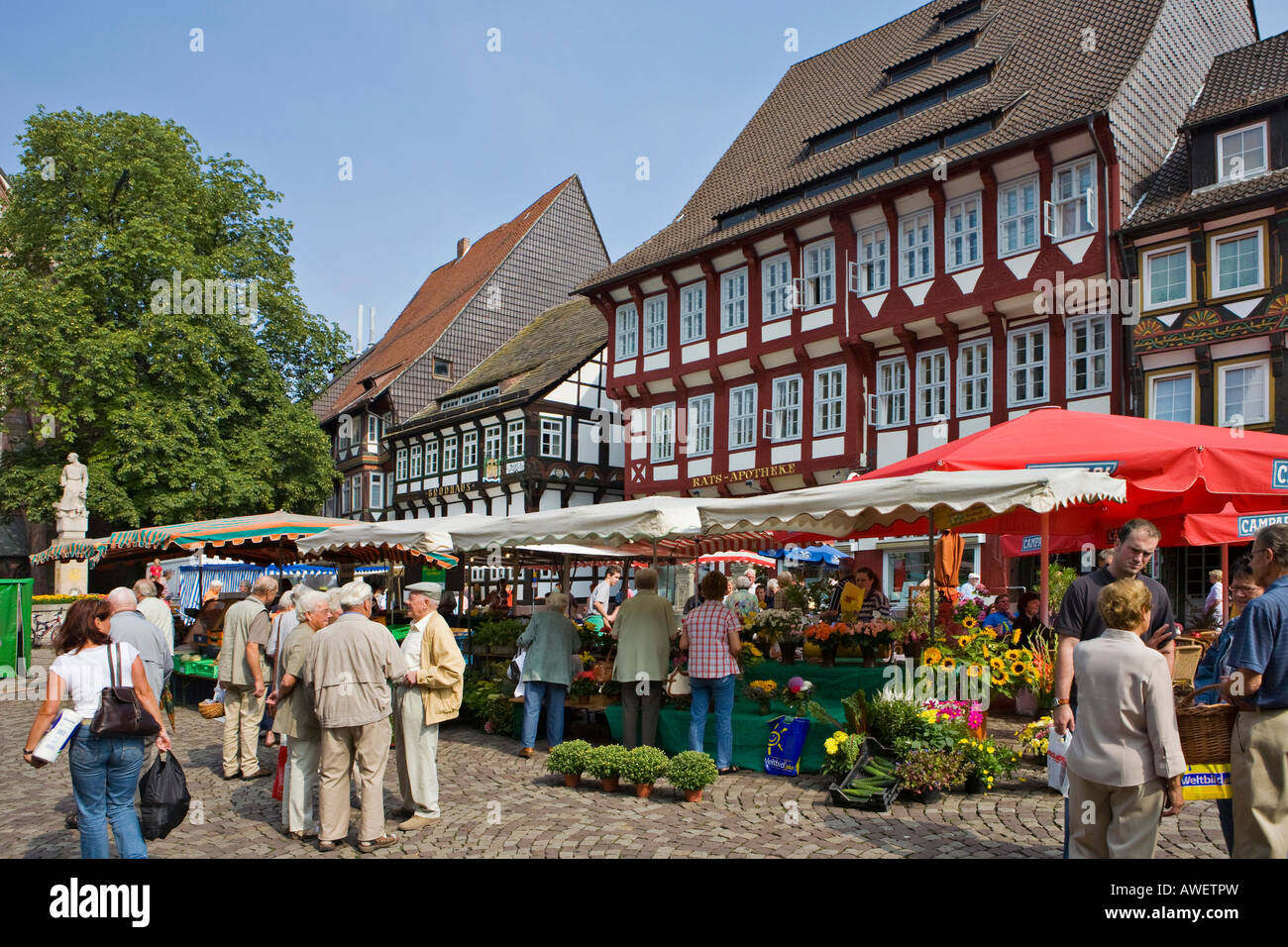 Marktstände vor reich verzierten Fachwerk-Stil (Fachwerk-, Fachwerk-) Häusern in Einbeck, Niedersachsen, Deutschland, Europa Stockfoto