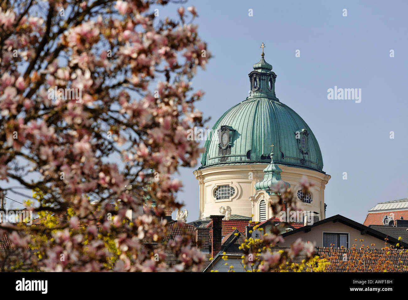 Im Vordergrund blüht Magnolie und die Kuppel der Margaretenkirche (St. Margaretenkirche), Berndorf, Triestingtal, Lowe Stockfoto