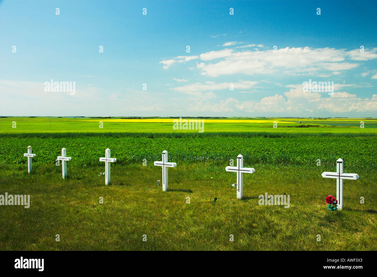 Eine Reihe von weißen Kreuze zum Gedenken an Opfer der Abtreibung in der Nähe von Smuts Saskatchewan Kanada Stockfoto